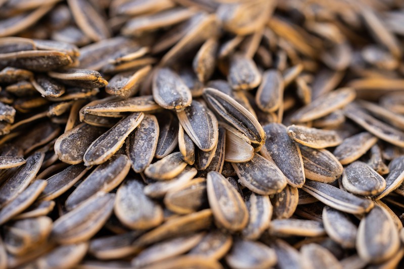 Sunflower seeds