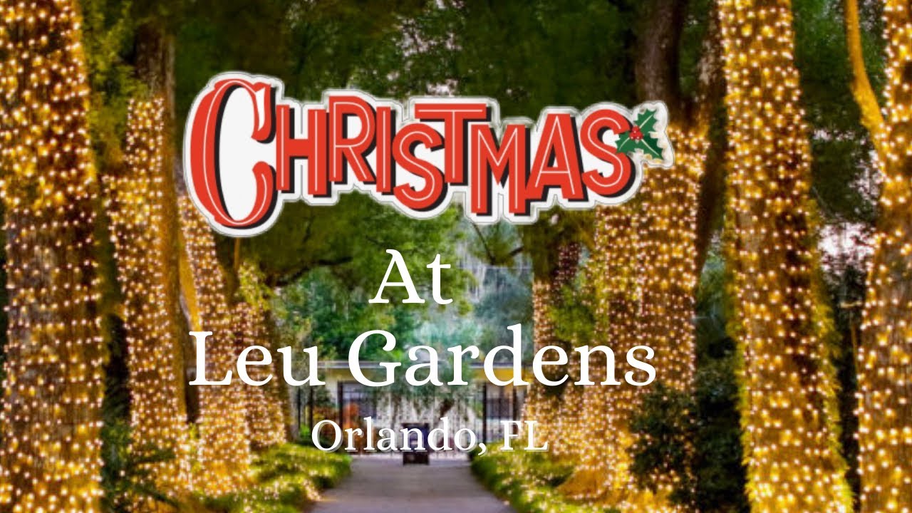 Leu Gardens Christmas