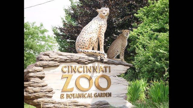 Zoo and botanical garden