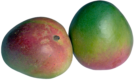 Mango benefits