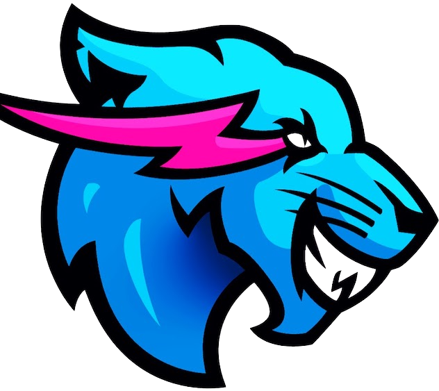 Mrbeast Gaming